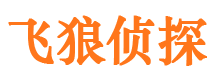 简阳外遇调查取证